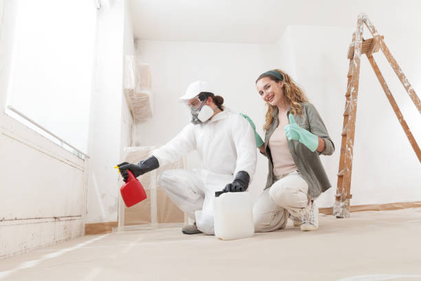 Best Mold Prevention Services  in USA